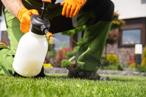 Wildlife Control Services in Kent City, MI