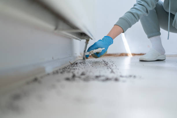 Best Bed Bug Extermination  in Kent City, MI