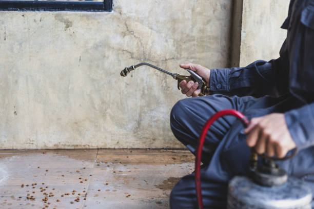 Best Pest Inspection Near Me  in Kent City, MI