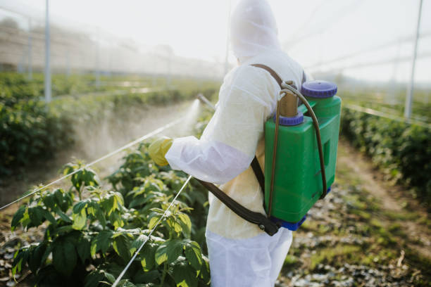 Best Cockroach Control Services  in Kent City, MI